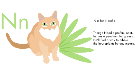 N is for Noodle